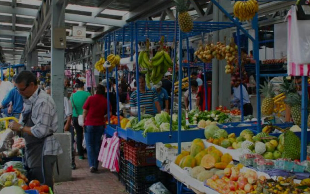 Costa Rican Basic Food Basket Prices Drop Less Than Overall Inflation