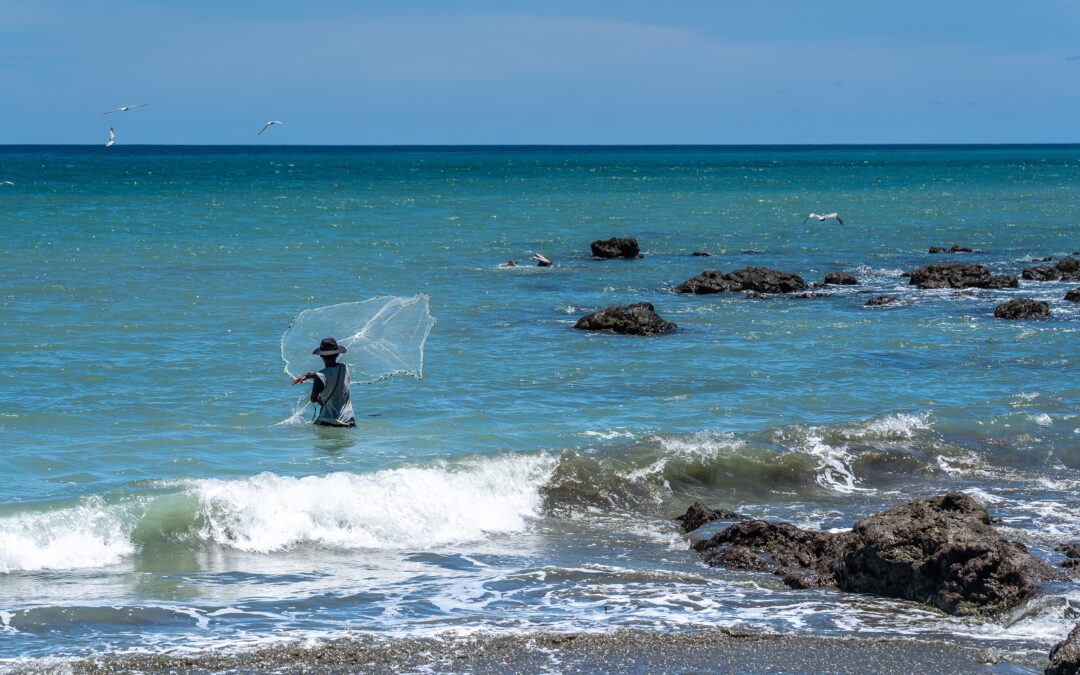 Discover Costa Rica’s Hidden Wonders: Osa & Coto Brus