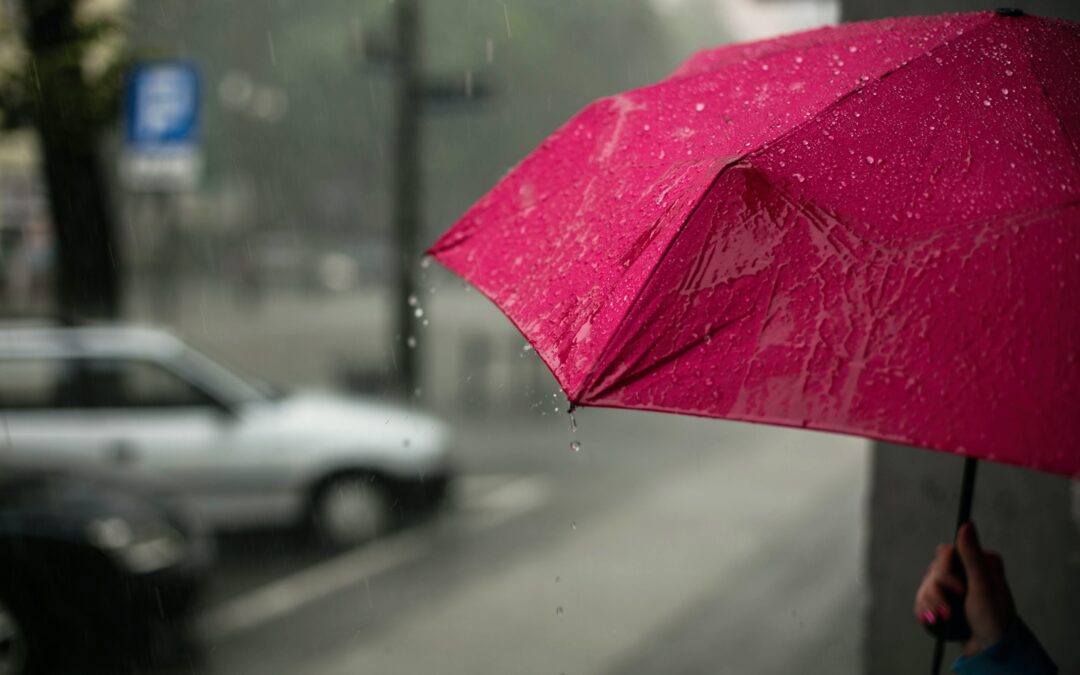 Yellow Alert Raised in Northern Zone and Sarapiquí Due to Heavy Rains