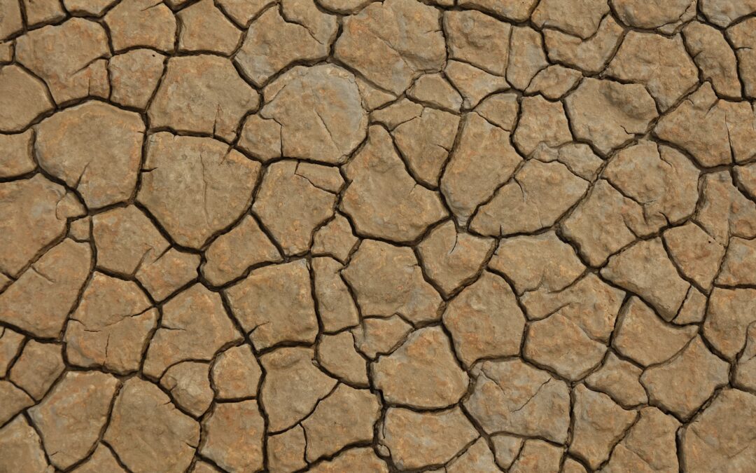 Forecasts indicate that the El Niño phenomenon will reach a strong level in Panama
