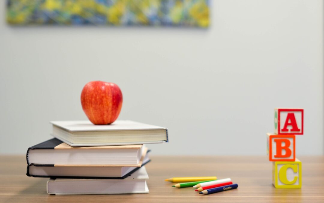 Education in Costa Rica: Public vs. Private Schools