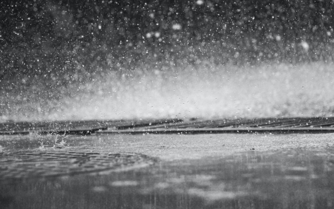 Don’t Put Away Your Umbrella: Rain Will Continue Until Tonight
