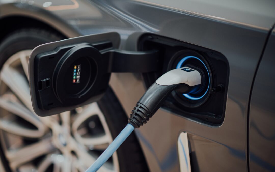 Ministry of Finance Advises Electric Car Owners to Delay Paying Vehicle Tax