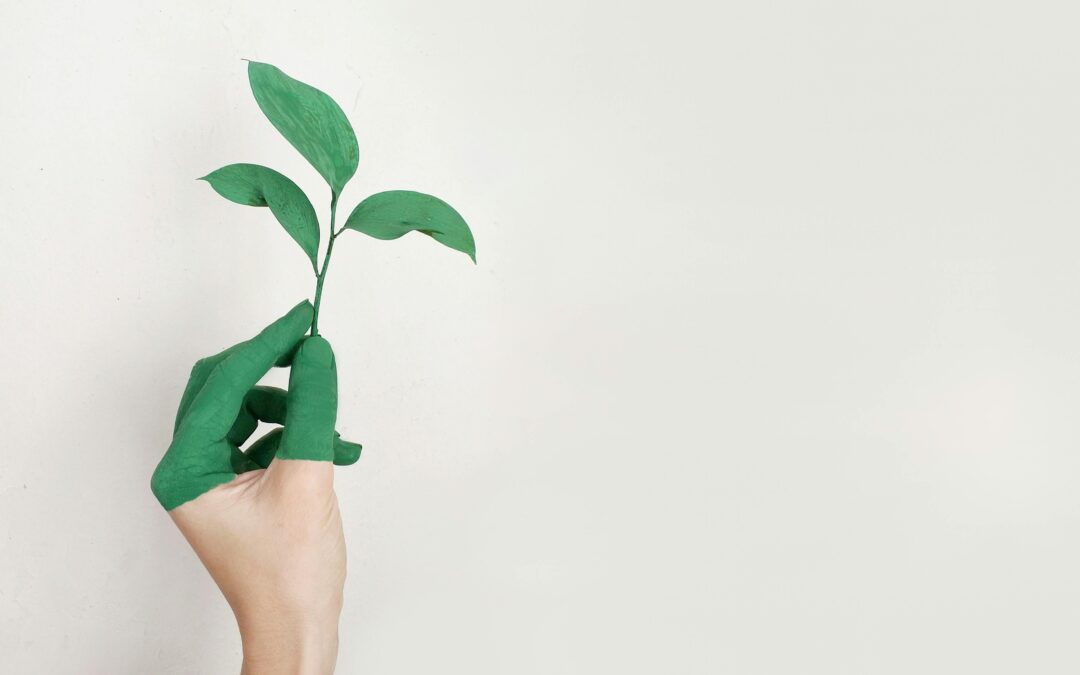 Request for Green Taxes: Querétaro Aims to Reduce CO2 Emissions by 2 Million Tons