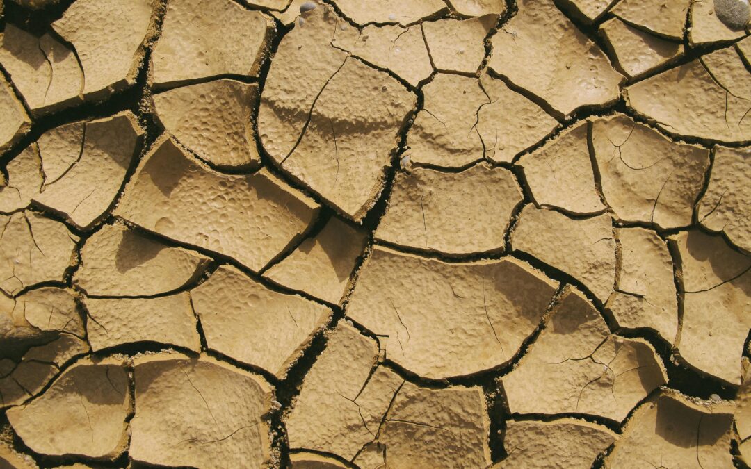 Mexico has a drought of 57.5%; “rainfall has not been sufficient”