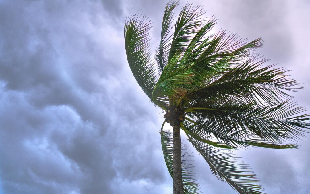 Predict thunderstorms in maritime areas; warning of rip currents for the Caribbean