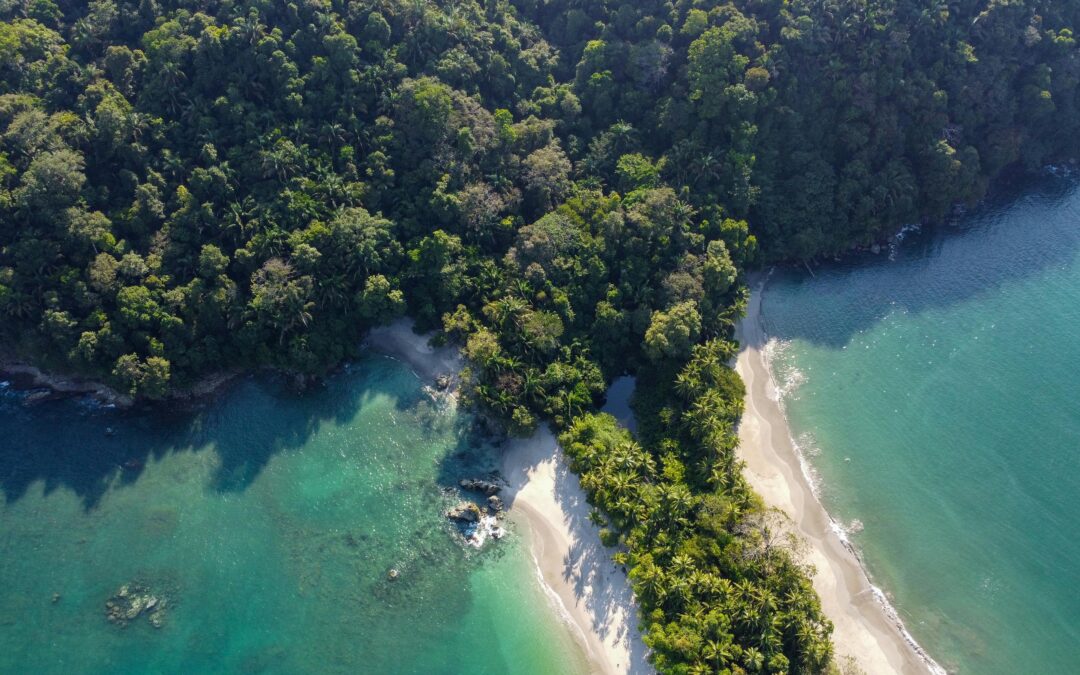 Manuel Antonio National Park increases its visitor capacity with new improvements The renovation of the Punta Catedral trail will allow more than 2,000 daily visitors